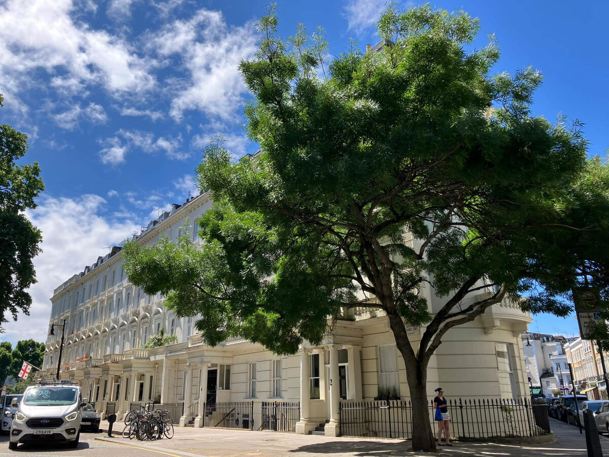 Pimlico : Hidemi